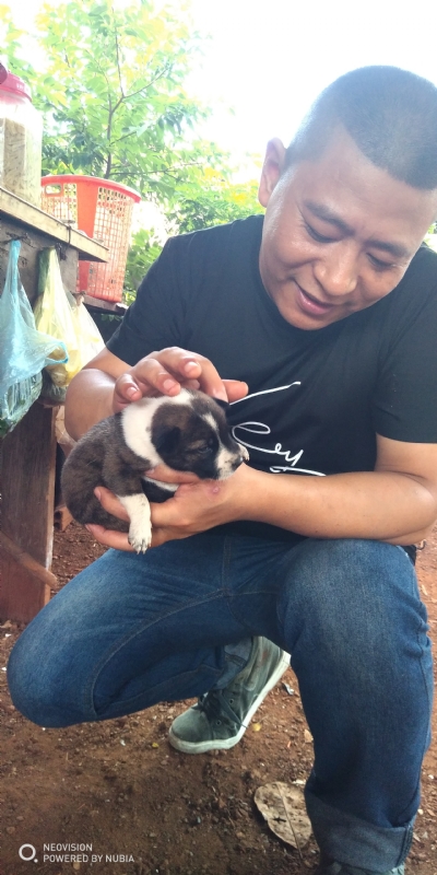 深圳相亲的第一张照片--安徽父母相亲团