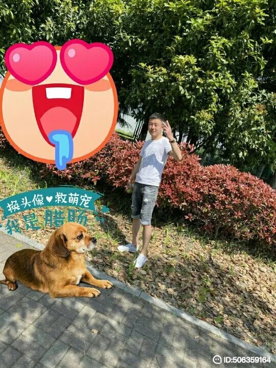我若不坚强谁替我勇敢的第一张照片--安徽父母相亲团